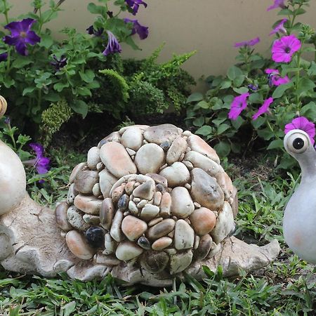 Taomilu B&B Puli Εξωτερικό φωτογραφία